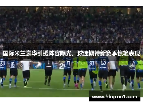 国际米兰豪华引援阵容曝光，球迷期待新赛季惊艳表现