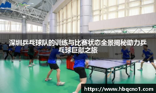 深圳乒乓球队的训练与比赛状态全景揭秘助力乒乓球巨献之旅